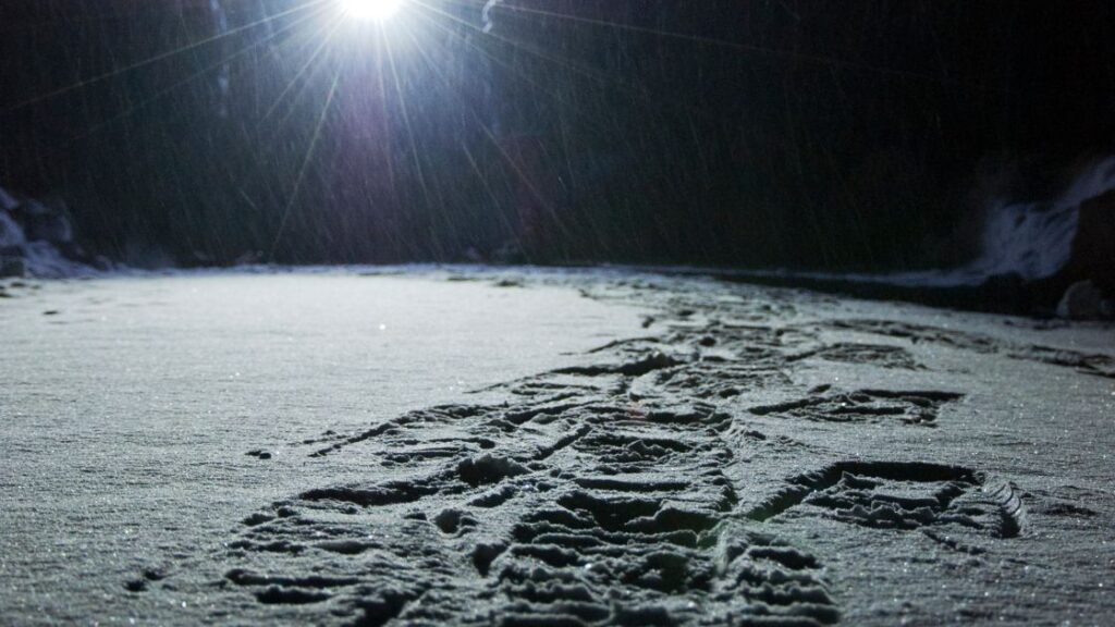 Schneeschuhwandern am Abend